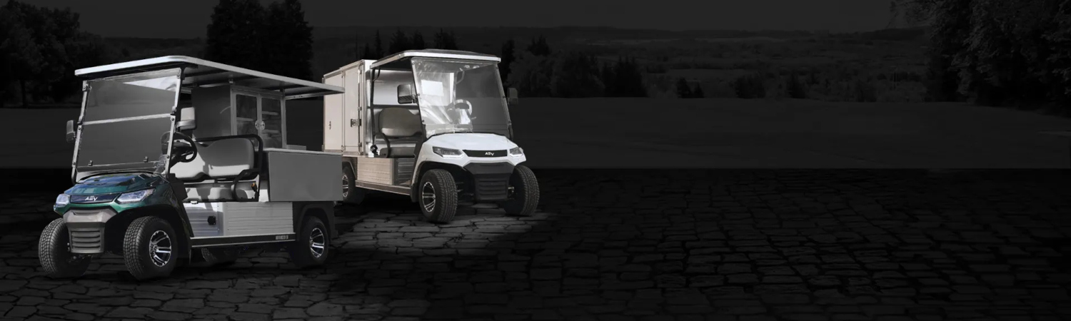 2024 Advanced EV Golf Cart for sale in CME Golf Carts, Lebanon, Pennsylvania